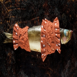 Fishion Show 2010, Summer Collection