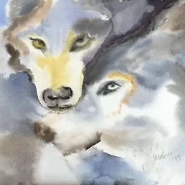 Twee wolven