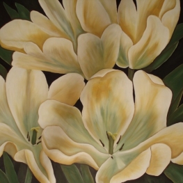 Tulpen wit-geel
