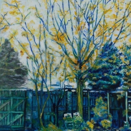 Tuinhek - Tuin - Garden