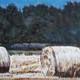 Hooi balen in Fries-landschap 