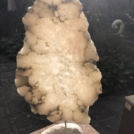 Puur Natuur