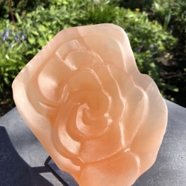 Oranje Roos