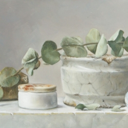 Eucalyptus en zalfpotjes