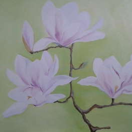 Tulpenboom