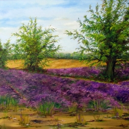 Lavendel Veld met Bomen