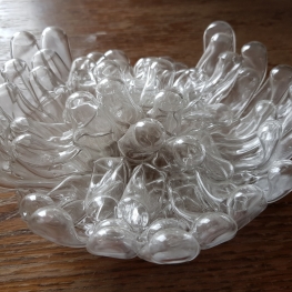 Zeebeest Laboratorium glas object