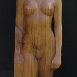 Wood nymph III