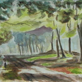 Fietspad Papenvoort Nuenen