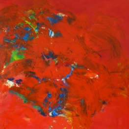 de kracht van rood