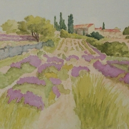 Oud lavendelveld