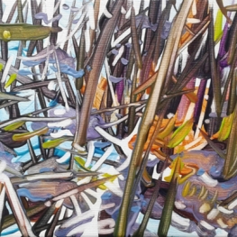 landscape218