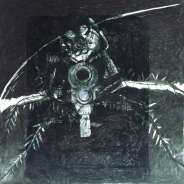 Periplaneta americana 1