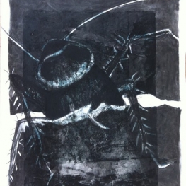 Periplaneta americana 2