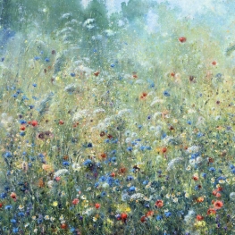 In morning light 