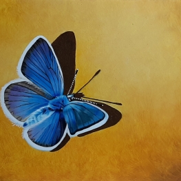 Vlinder II / Schmetterling II