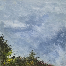 lucht en groen BS-25-13