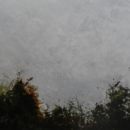 groen en lucht PS-23-11