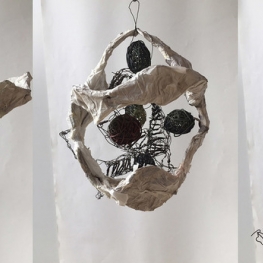 cel met dna en organellen