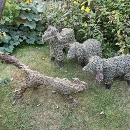 minikudde grasschapen