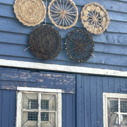 Natuurlijke Olympische ringen