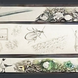 wandelen van A naar B 