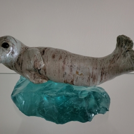 Grijs zeehondje