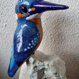 IJsvogeltje op steen