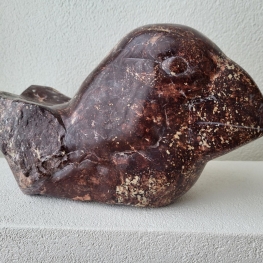 Papagaaiduiker