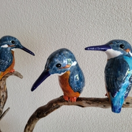 IJsvogeltjes op V-tak