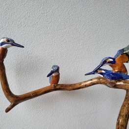 IJsvogeltjes op tak