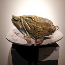 Als een vis in het water /expo