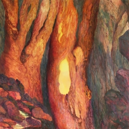 Bomen oprijzend tussen rotsen 