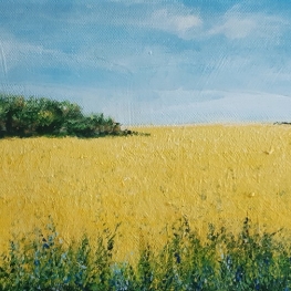 Koolzaadveld met Blauwe Bloemen