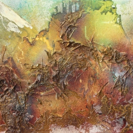 wild forest
