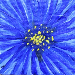 Blauwe bloem (2) - Mini