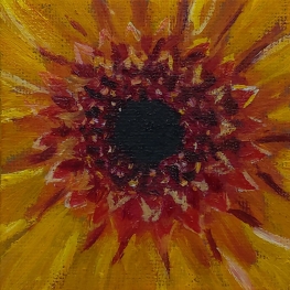 Dahlia - mini