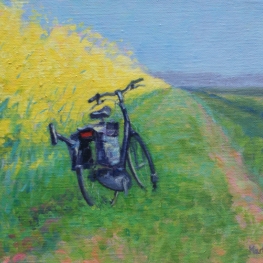 Fiets in het koolzaadveld