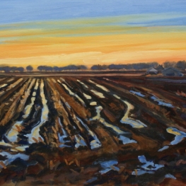 Landschap schilderij akkers