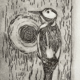 specht