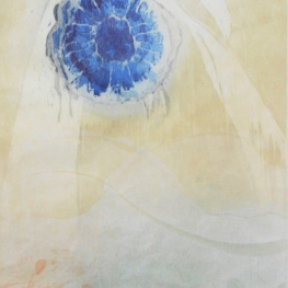 Aangespoeld, blauwe kwal