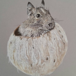 Me, my coconut and I