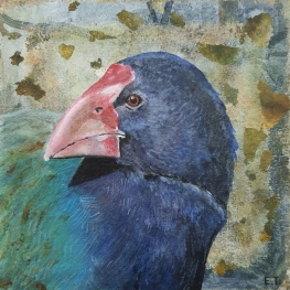 Vintage Takahe