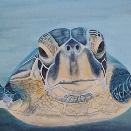 Vriendelijke groene zeeschildpad