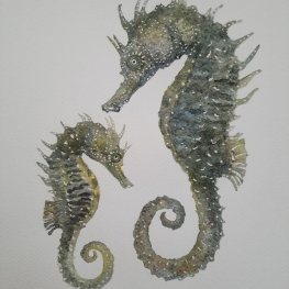 Zeepaard moeder en kind