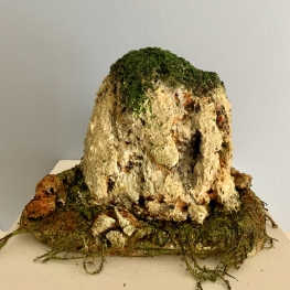 …om nooit te vergeten …