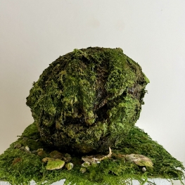 Een Steen Met Herinneringen 