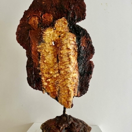 Een Gevoel van SamenZijn