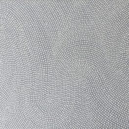 SC451 