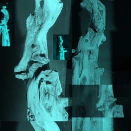 Shaped by Nature, Shaped by Men 1